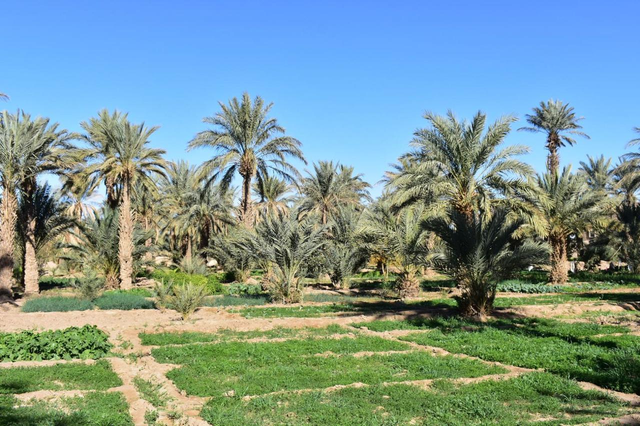 Chez Belkacem Hotel Merzouga Exterior photo